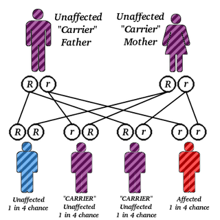 Illustration for article titled Why inbreeding really isn't as bad as you think it is